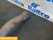 Стабилизатор задний